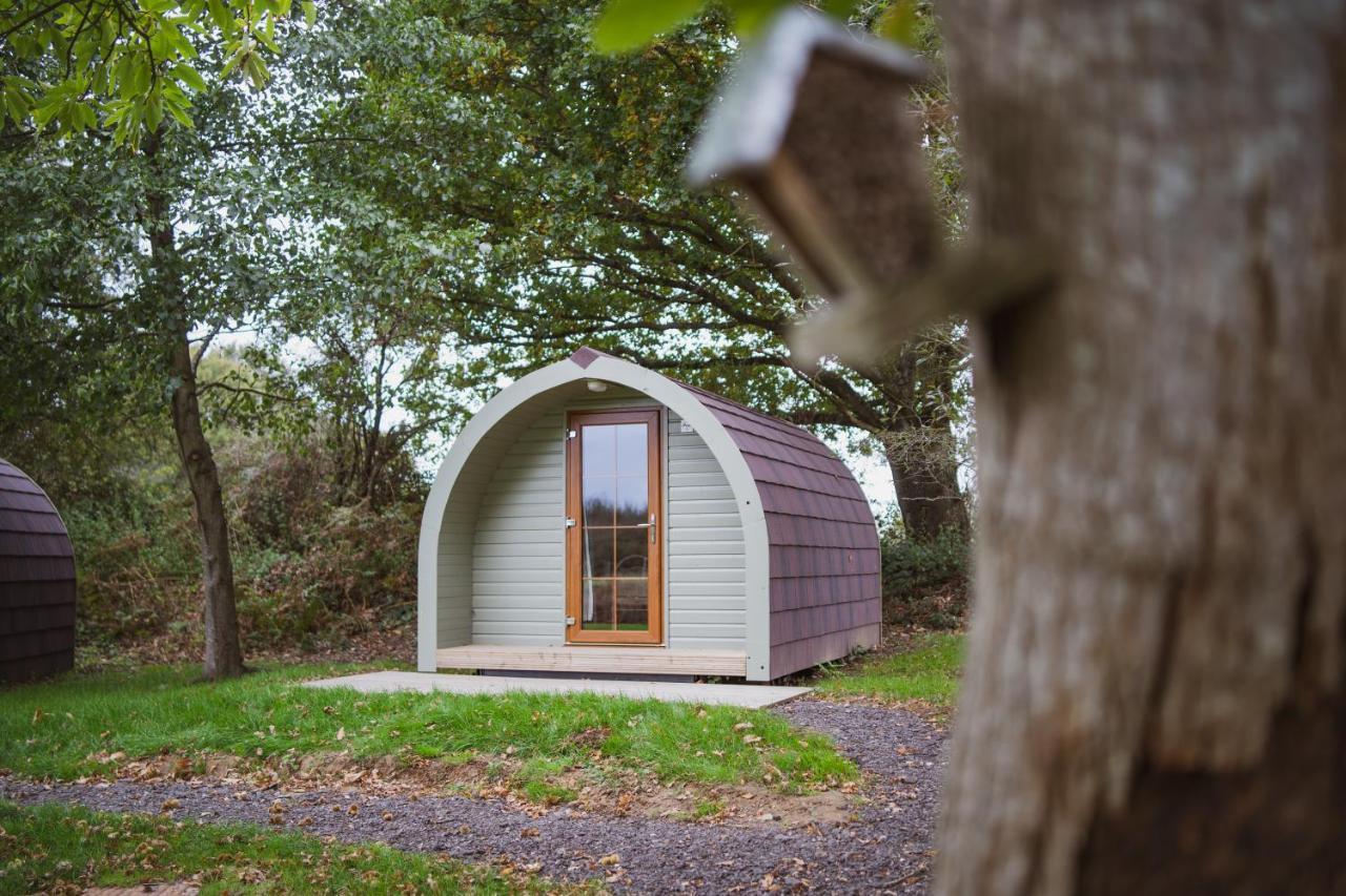 Chestnut Meadow Country Park Villa Sidley Exteriör bild